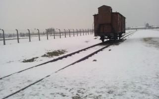 Auschwitz, Birkenau e il loro silenzio urlato